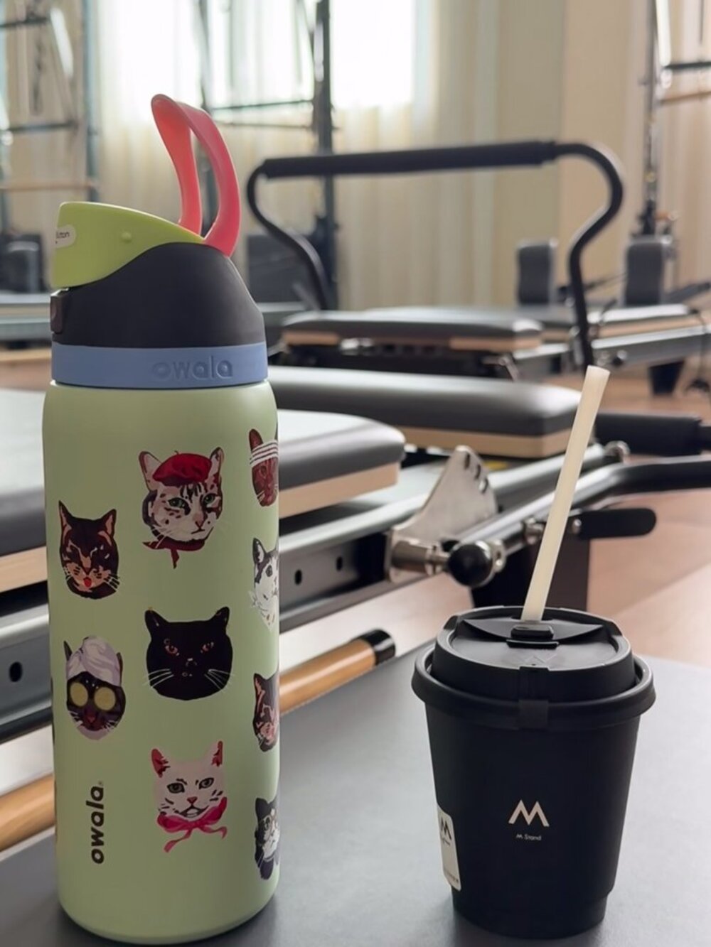 Owala FreeSip 32oz Cat Collage Catwala Water Bottle Urban Outfitters Exclusive